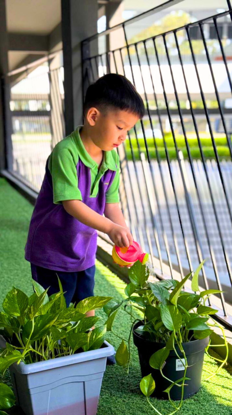 verticle depan website (4)